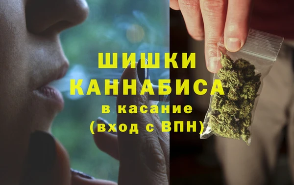 сатива Абаза