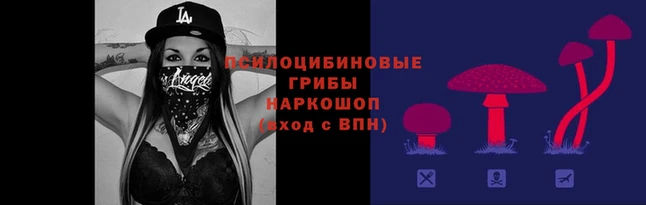 сатива Абаза