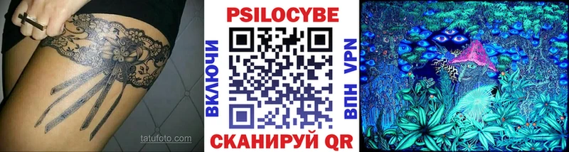 хочу   Моршанск  Галлюциногенные грибы Psilocybine cubensis 