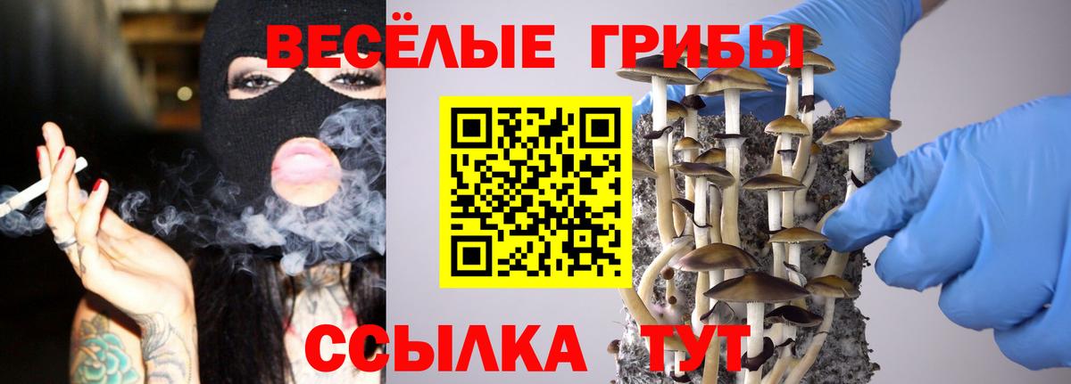 Псилоцибиновые грибы Psilocybe  Вход с VPN  Моршанск 