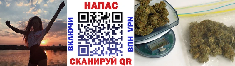 Бошки Шишки ГИДРОПОН  наркота  Моршанск 